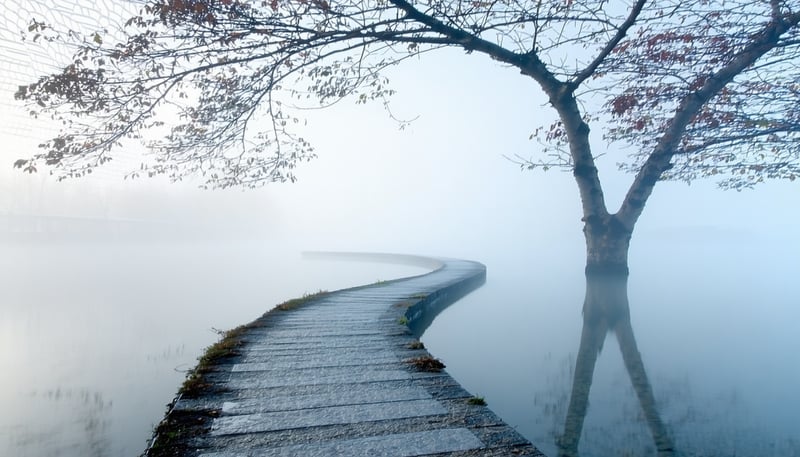 Structured pathway leading to clarity and calm Structured pathway leading to clarity and calm